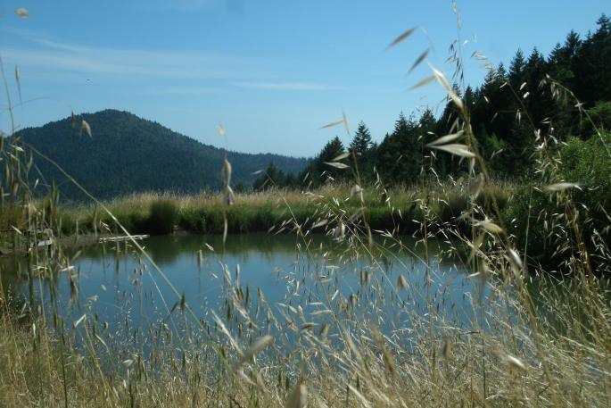 20160627mo1904-psfarms-willits-california-tiny-small-house-001